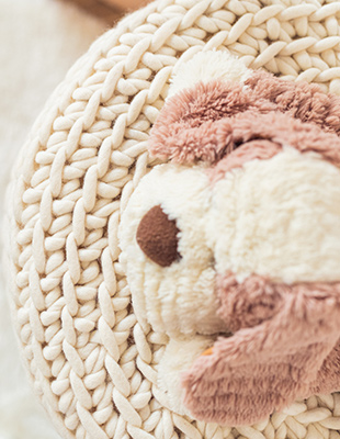 Plüschhund auf Pouf in Flechtoptik