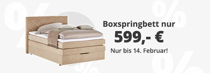 Boxspringbett Neu, Möbel gebraucht kaufen in Bergheim
