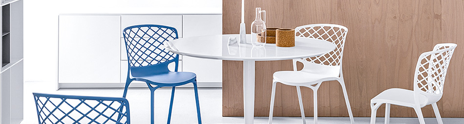 Gamera connubia calligaris