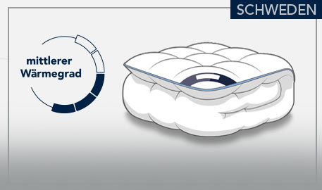 Schweden Ganzjahresdecke, mittlerer Wärmegrad, Zeichnung einer Ganzjahresdecke vor hellgrauem Hintergrund und grauen Akzenten