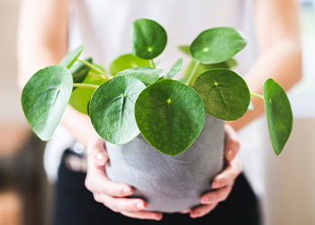 Magazin Startseite | Möbel Höffner