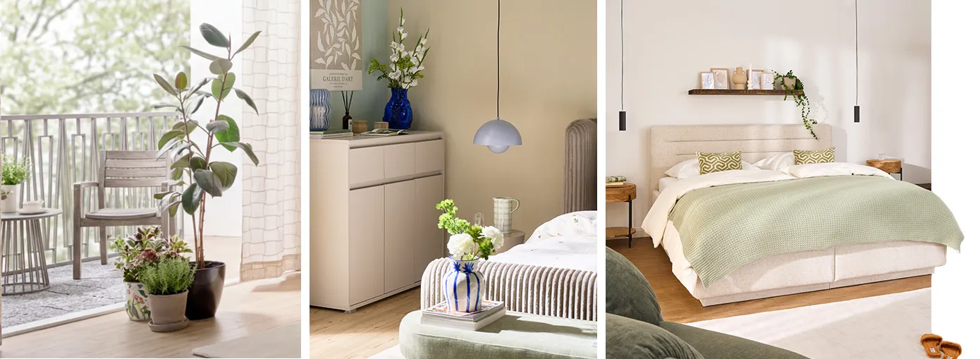 Bildcollage drei Pflanzen in verschiedenen Größen vor Balkonfenster im Schlafzimmer, kleine Pflanzen in Vasen auf Kommode und Bettbank