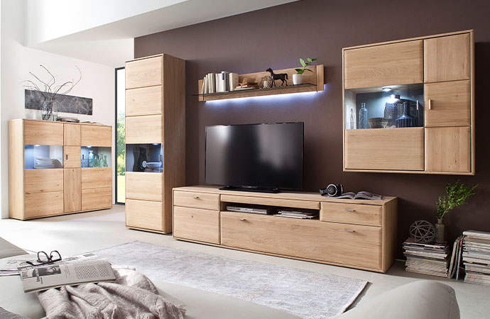 Moderne Wohnzimmer-Möbel aus Holz