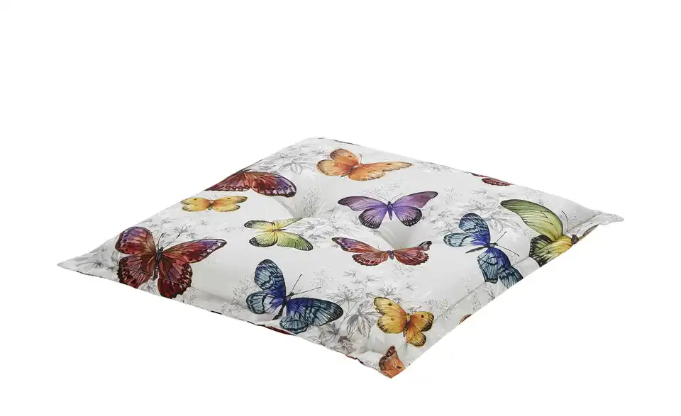 Schwienhorst Auflage Butterfly, Perspektive