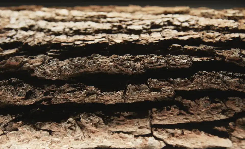 HARTMANN LED-Beleuchtung Runa, Detailansicht