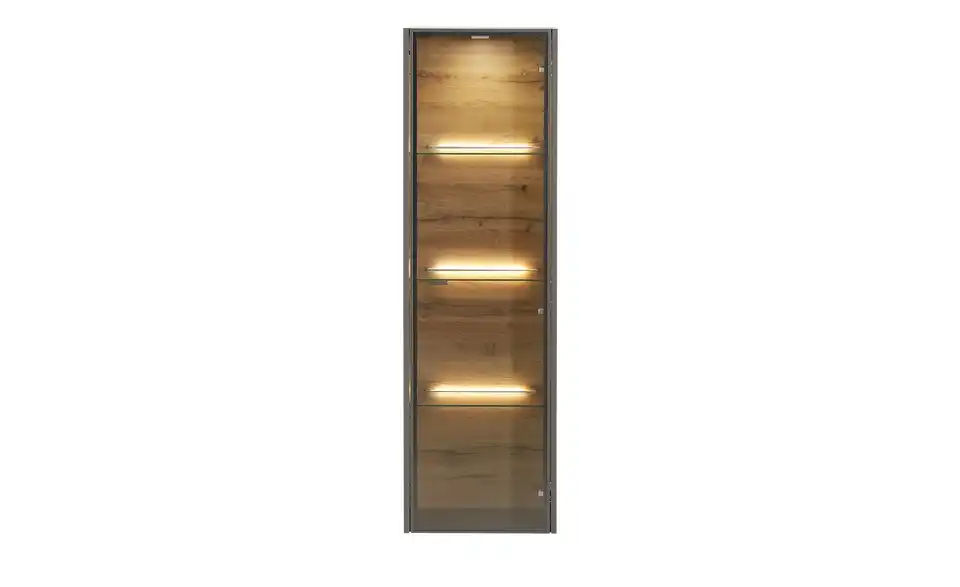 Hängevitrine Light Line 10, Frontansicht