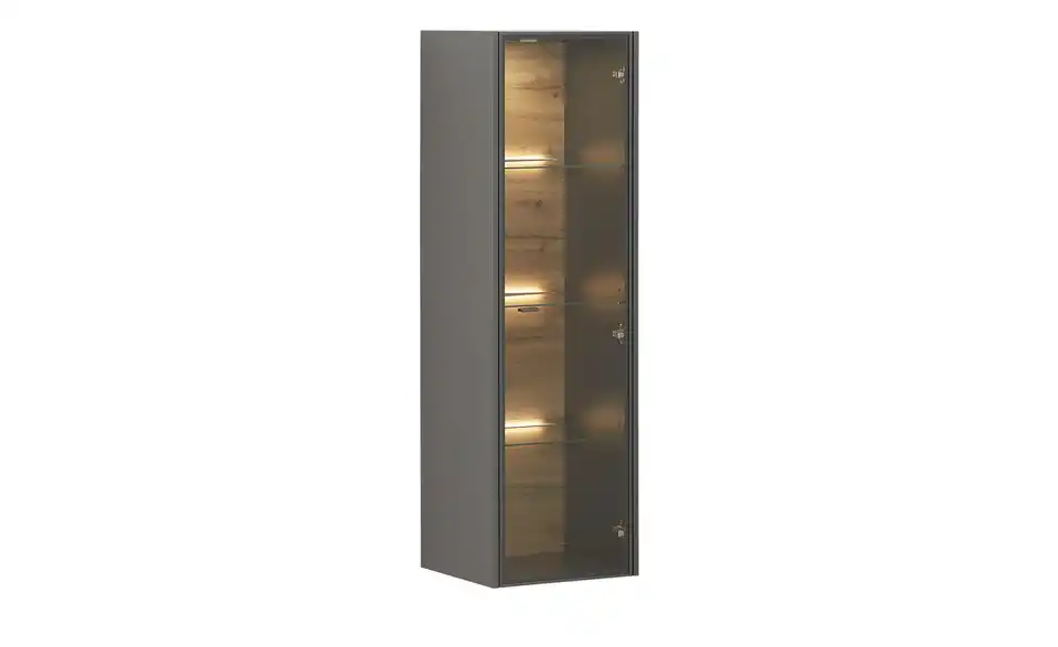 Hängevitrine Light Line 10, Perspektive