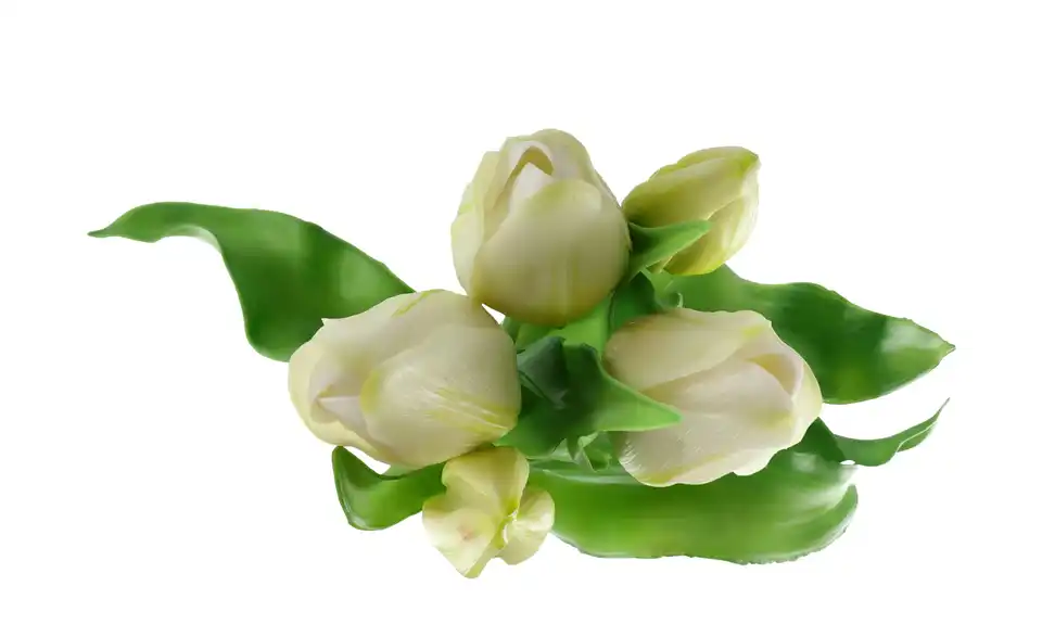 Tulpenbund, Perspektive