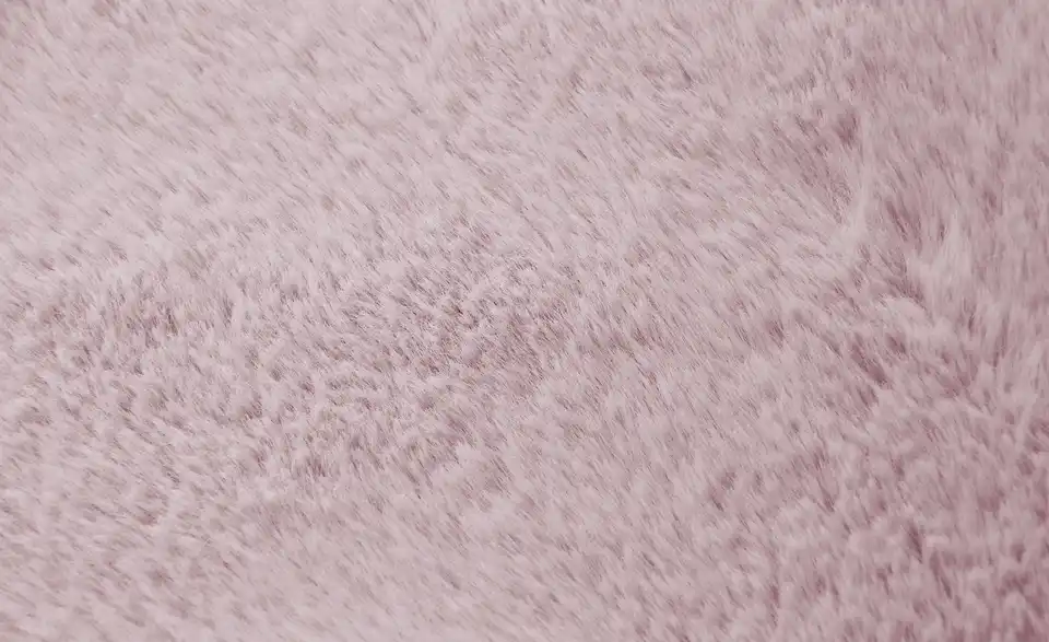 Bunny Soft