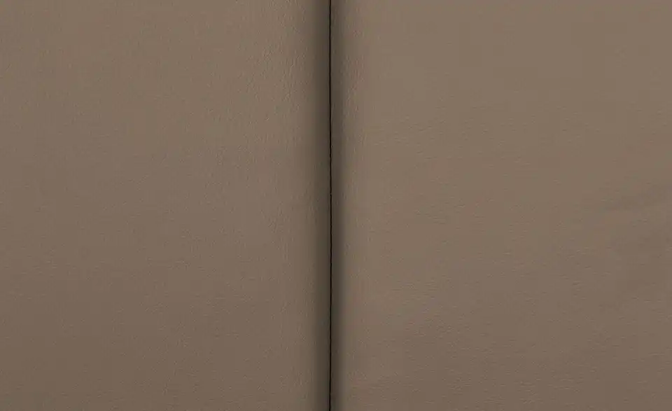 uno Freischwinger Vota mit Griff, Detailansicht