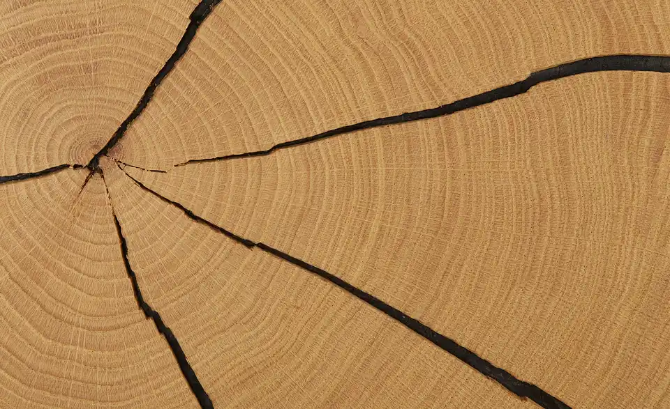 HARTMANN Vitrine Caya, Detailansicht