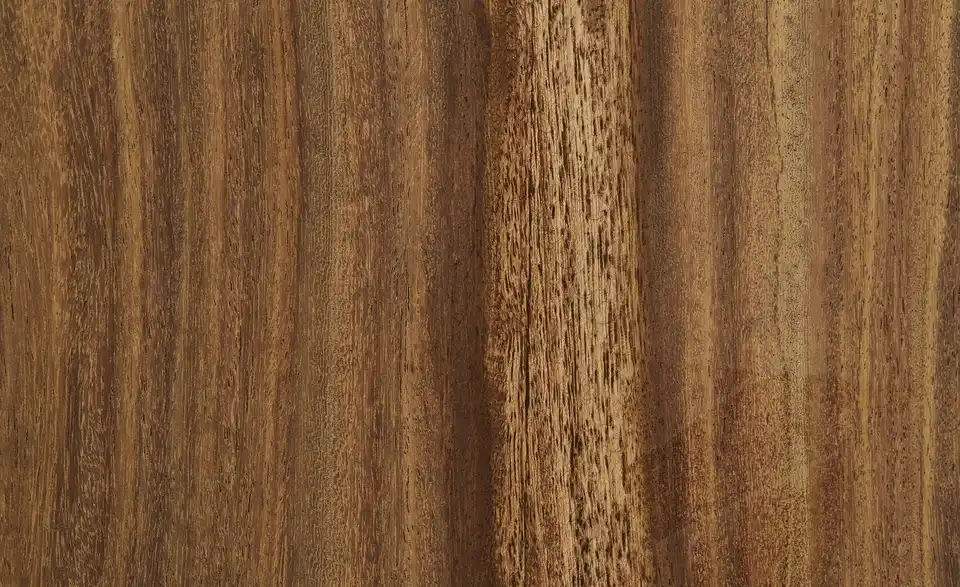 Gray & Jones Vitrine Tierra Fuego One, Detailansicht