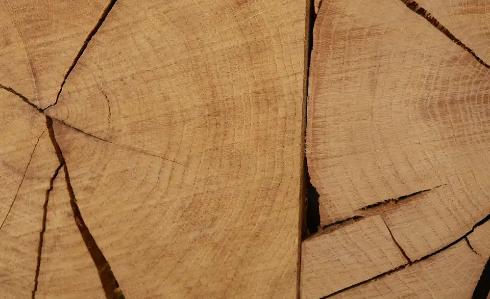 TV-Lowboard Enego, Detailansicht