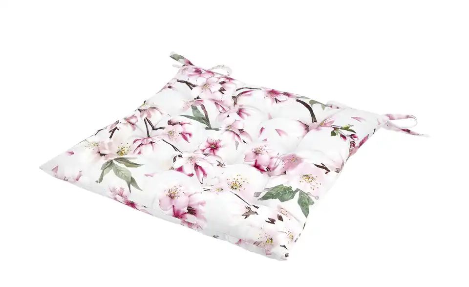 Kirschblüte