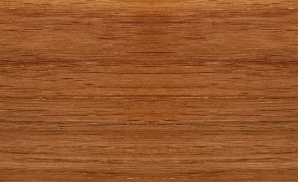 Dine + Mine Armlehnstuhl Corby mit Massivholzgestell, Detailansicht