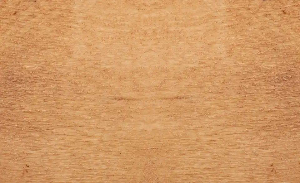 Dine + Mine Armlehnstuhl Corby mit Massivholzgestell, Detailansicht