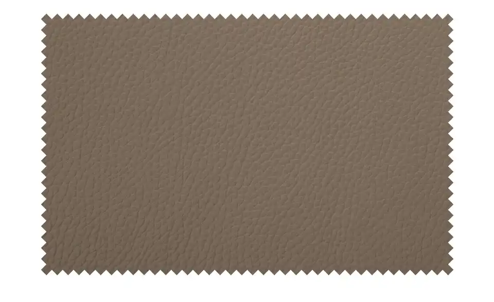 Max Schelling Ledersofa Maximum mit Kufengestell, Stoffstruktur