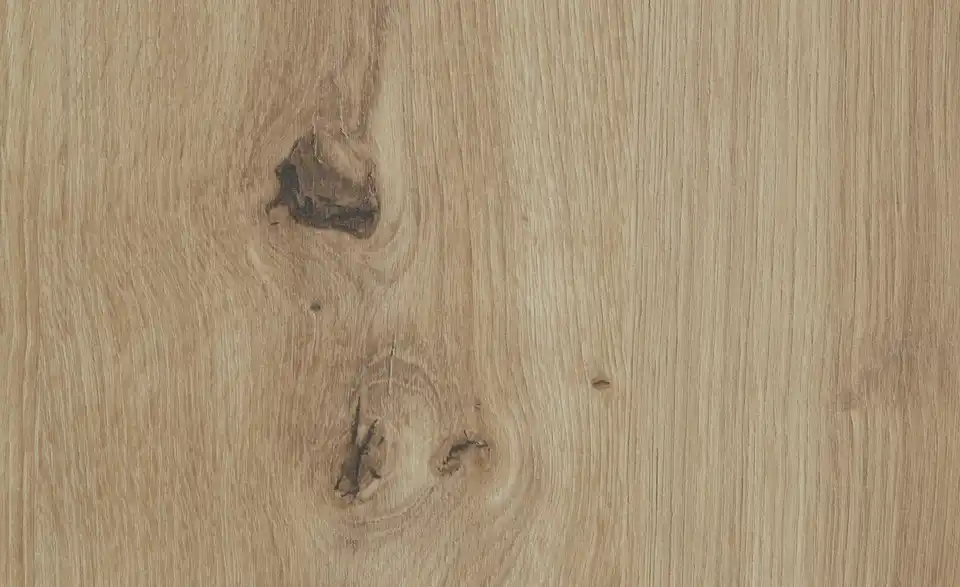 Anrichte Calvas, Detailansicht