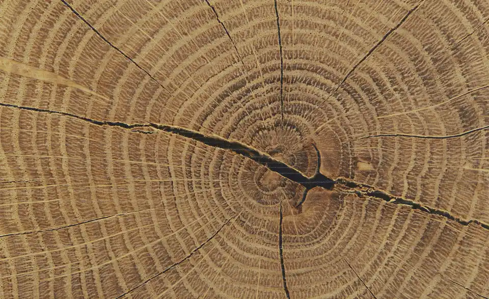 Garderobenschrank Cortina, Detailansicht