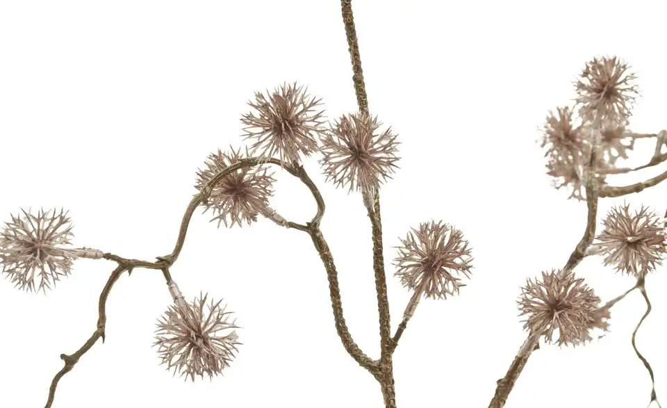 HOME STORY Deko Distelzweig, Detailansicht