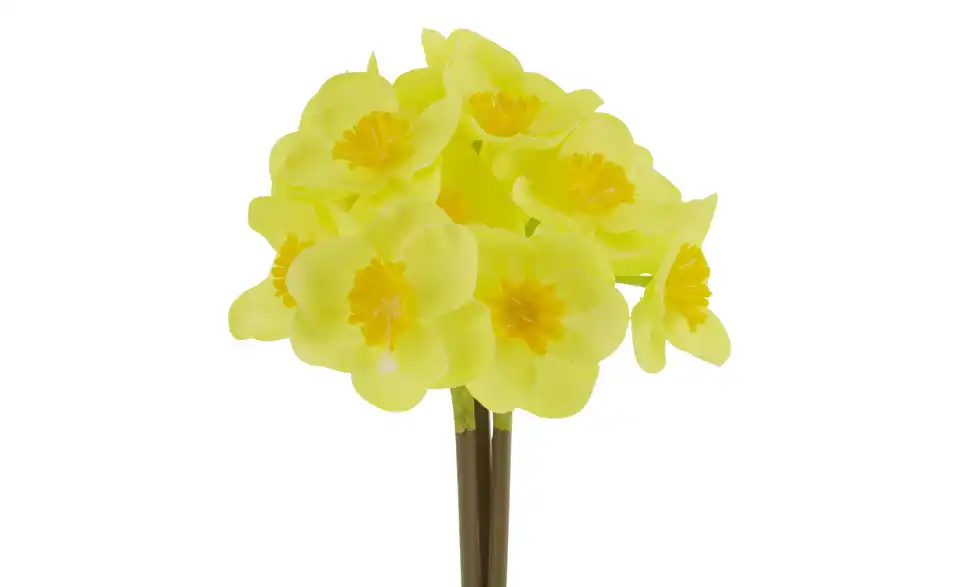 Narzissenbund, Detailansicht