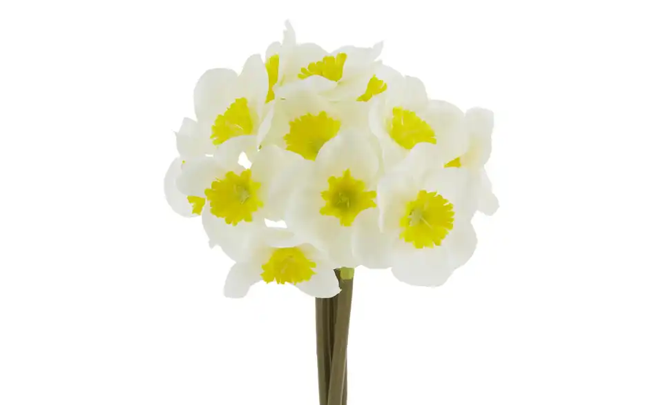 Narzissenbund, Detailansicht