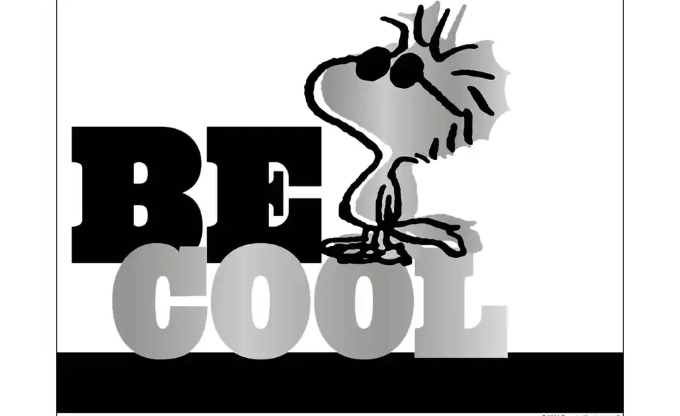 Trinkflasche Peanuts, Detailansicht