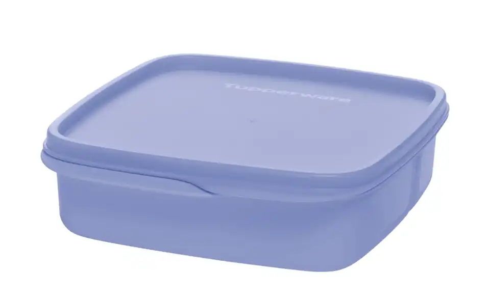 Tupperware Lunchbox
