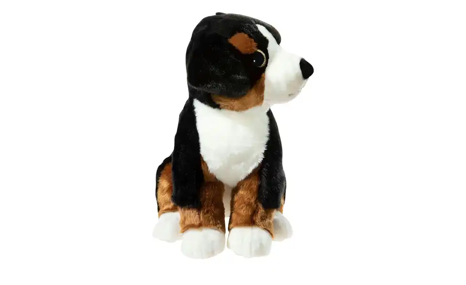 Sennenhund
