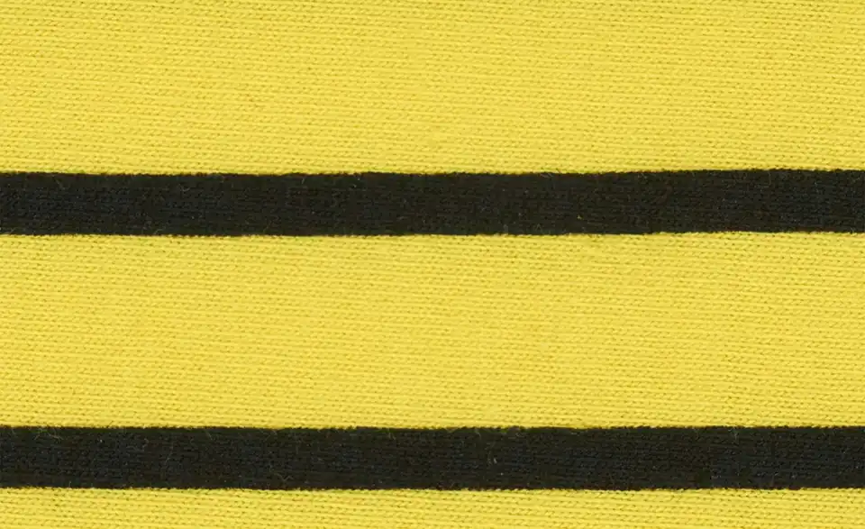 Player BVB 2025