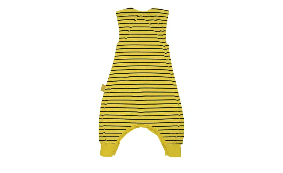 Player BVB 2025