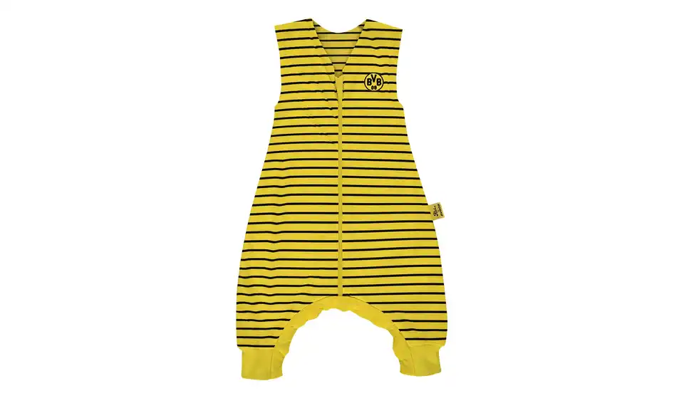 Player BVB 2025