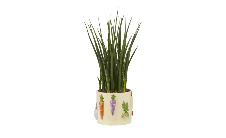 HOME STORY Übertopf Gemüse, in Wohnsituation