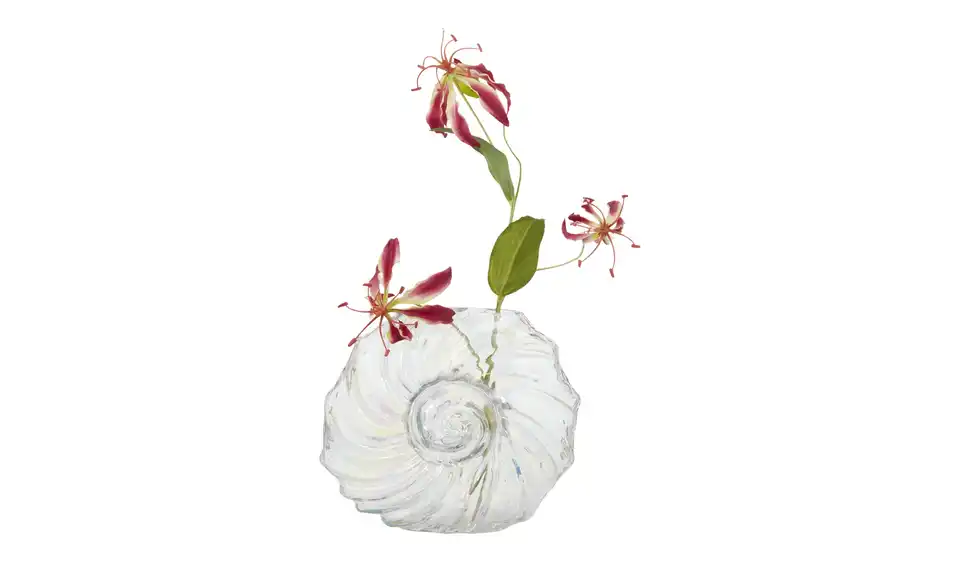 Vase Muschel, in Wohnsituation