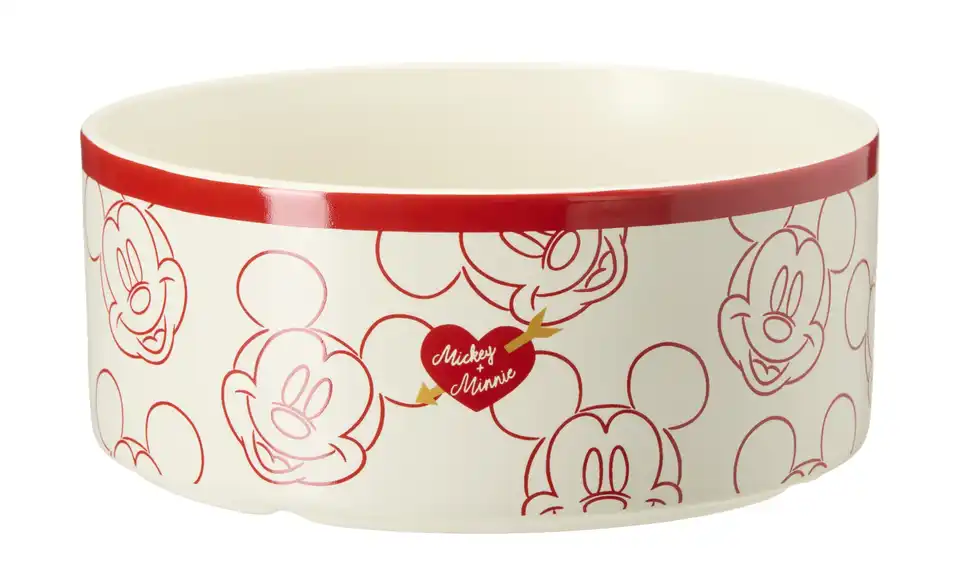 Disney Schale Disney, Perspektive