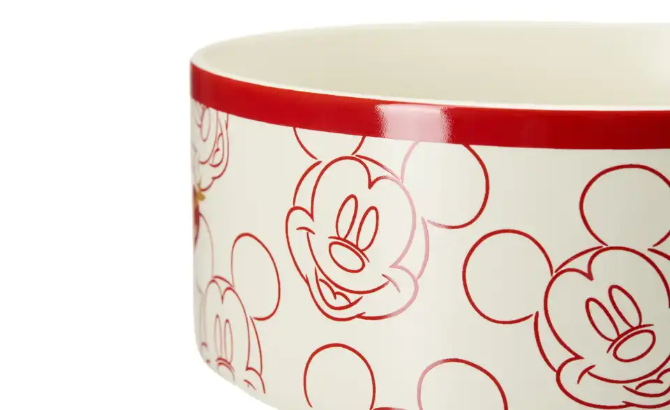 Disney Schale Disney, Detailansicht