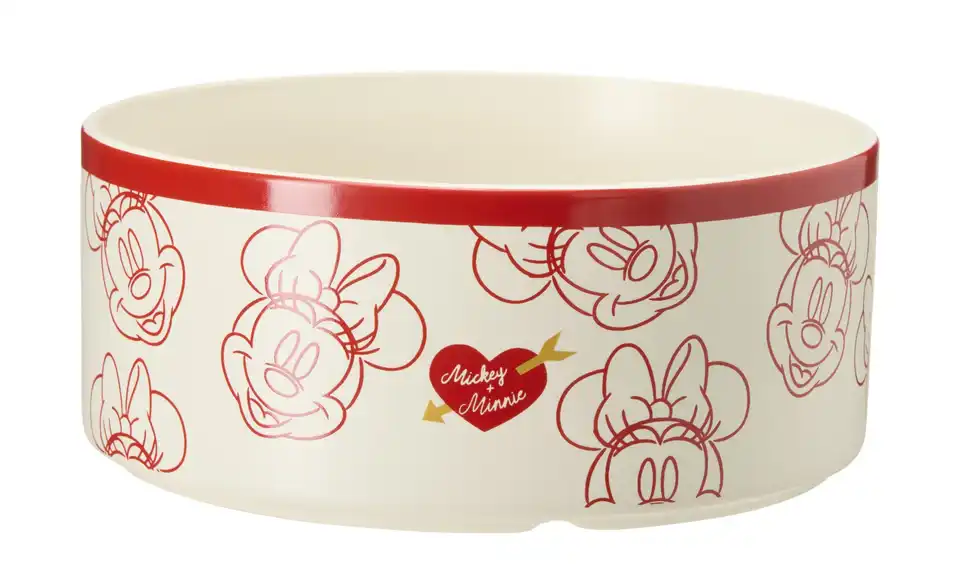 Disney Schale Disney, Perspektive