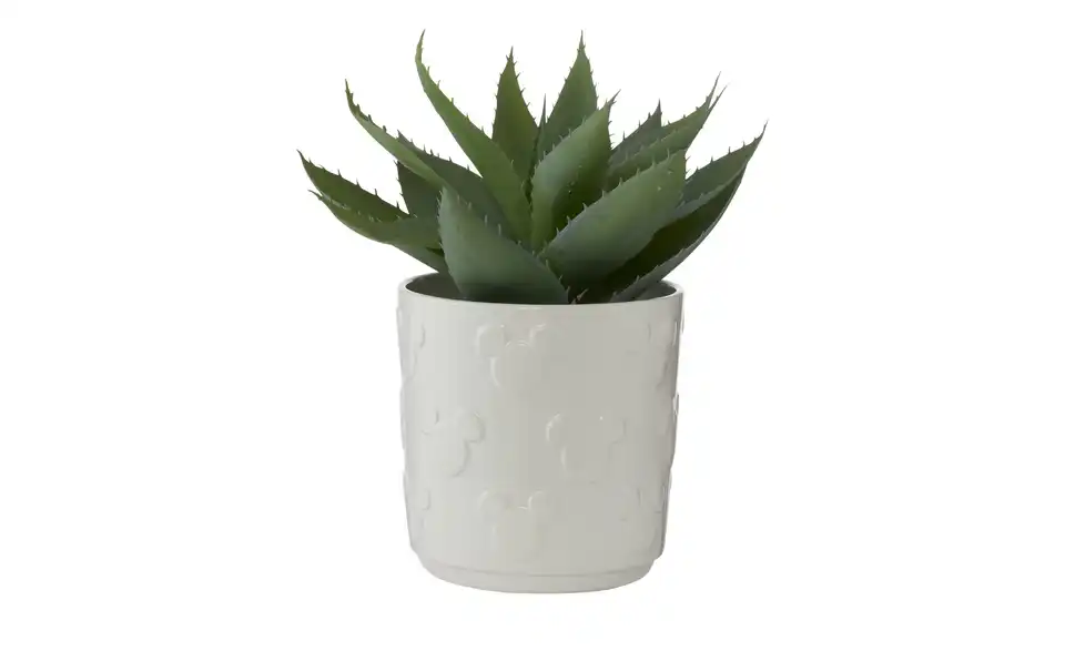 Disney Übertopf Disney, Perspektive