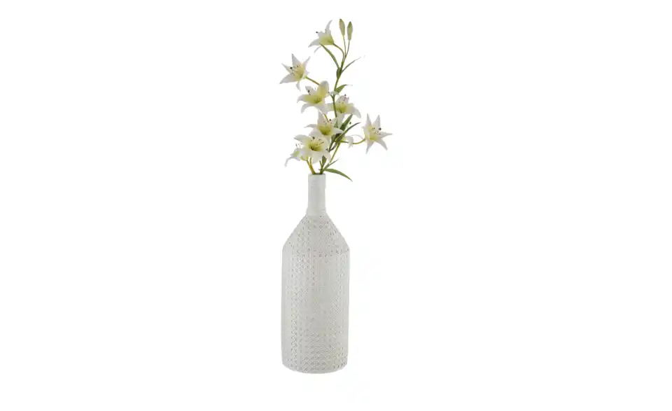 HOME STORY Deko Vase, Funktionsansicht