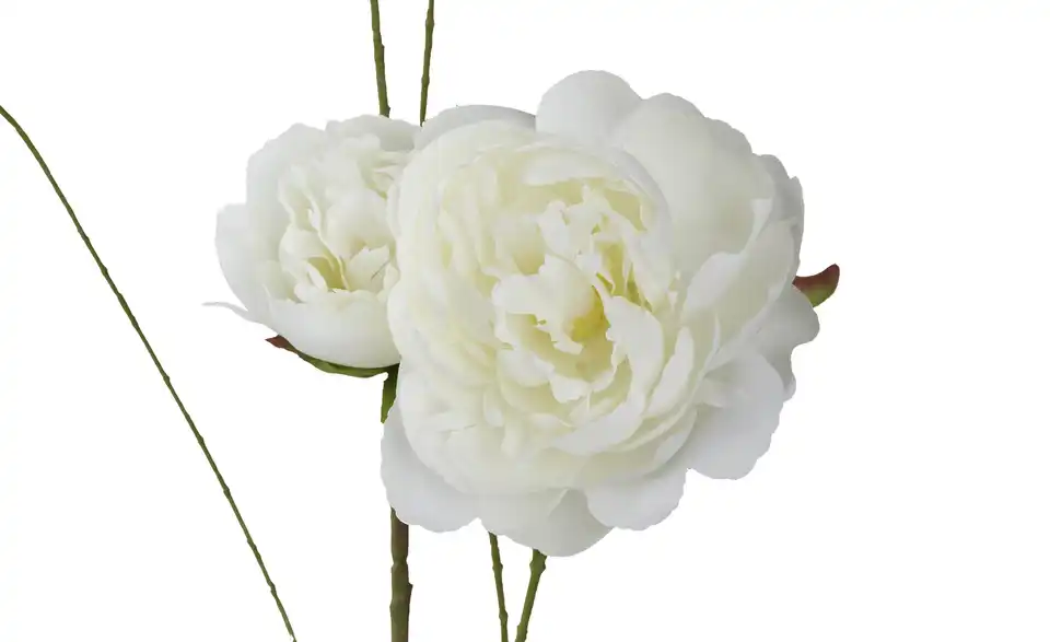 Deko Peonie, Detailansicht