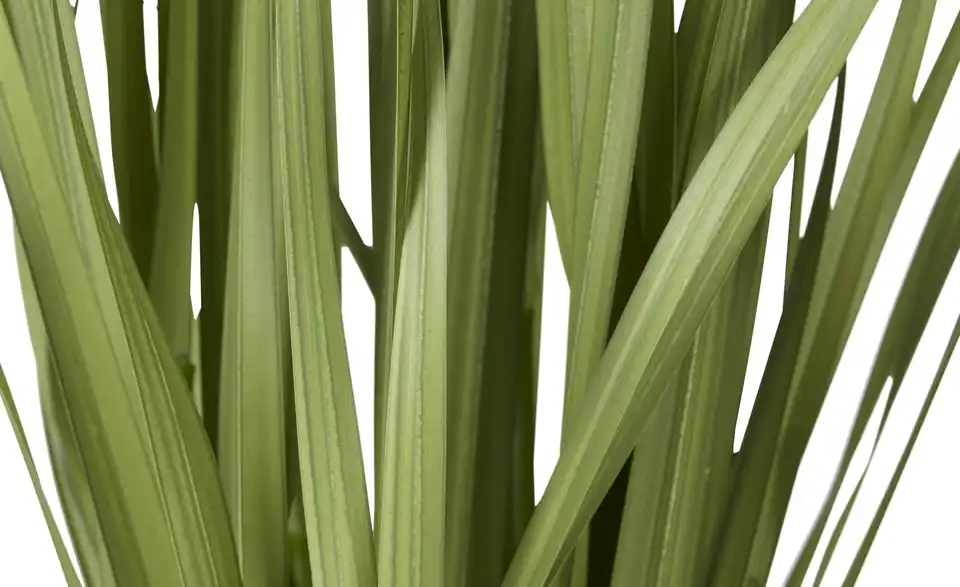 Grasbüschel getopft, Detailansicht