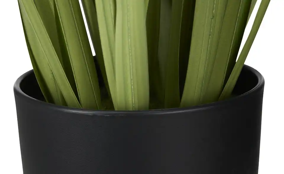 Grasbüschel getopft, Detailansicht