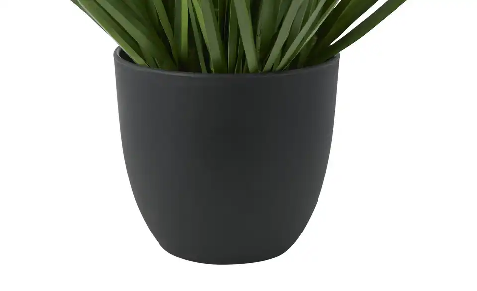 Lavendel getopft, Detailansicht