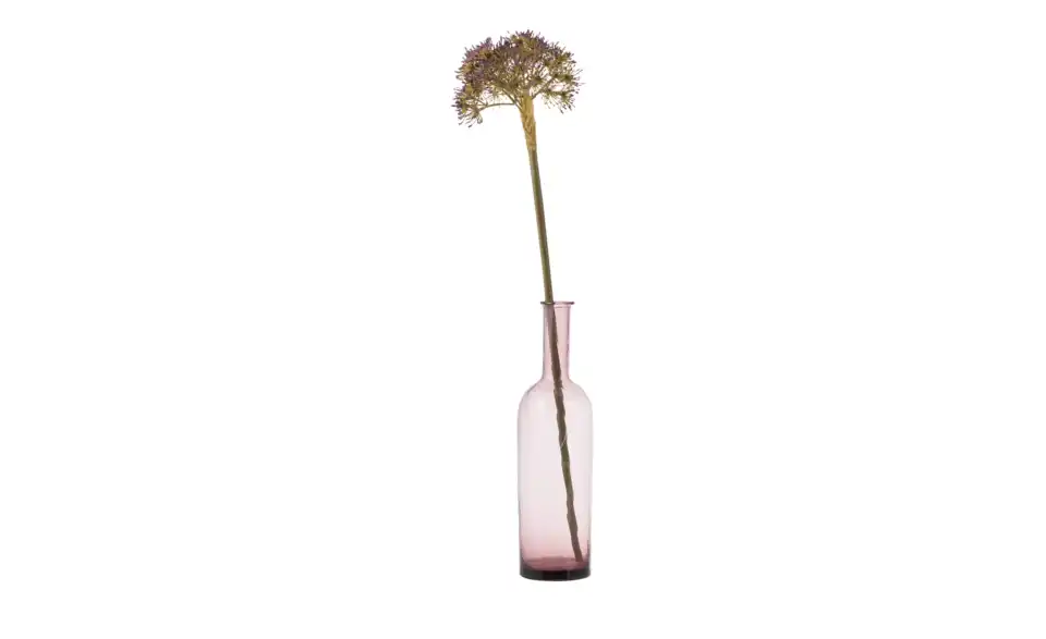 Kunstblume Achillea, Perspektive