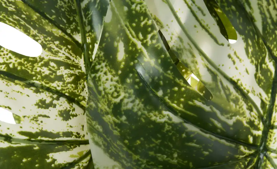 Philodendron getopft, Detailansicht