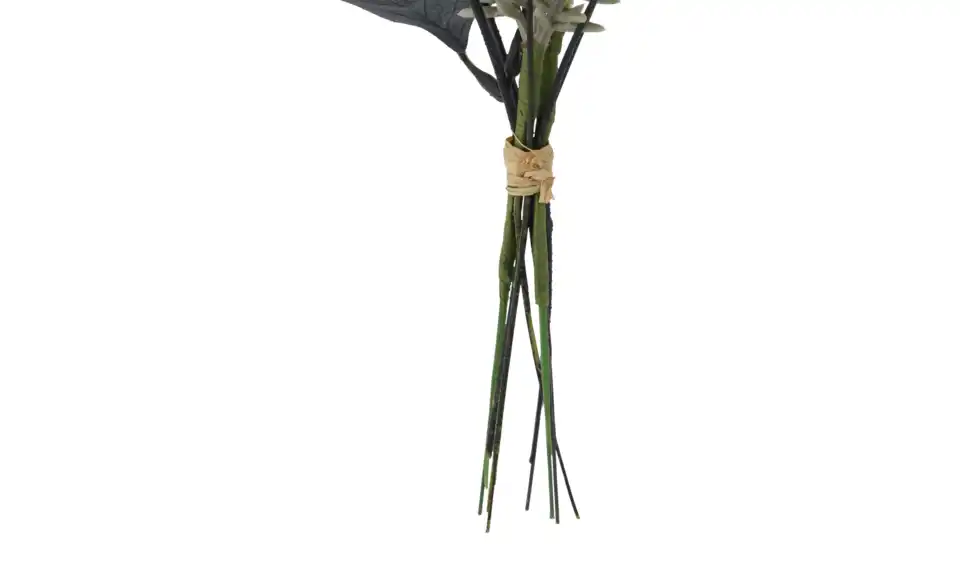 Eukalyptus Rosmarinstrauß, Detailansicht