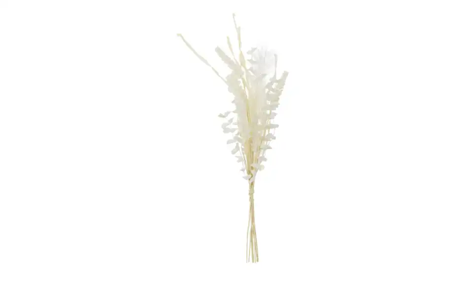 Softflower Bouquet, Perspektive