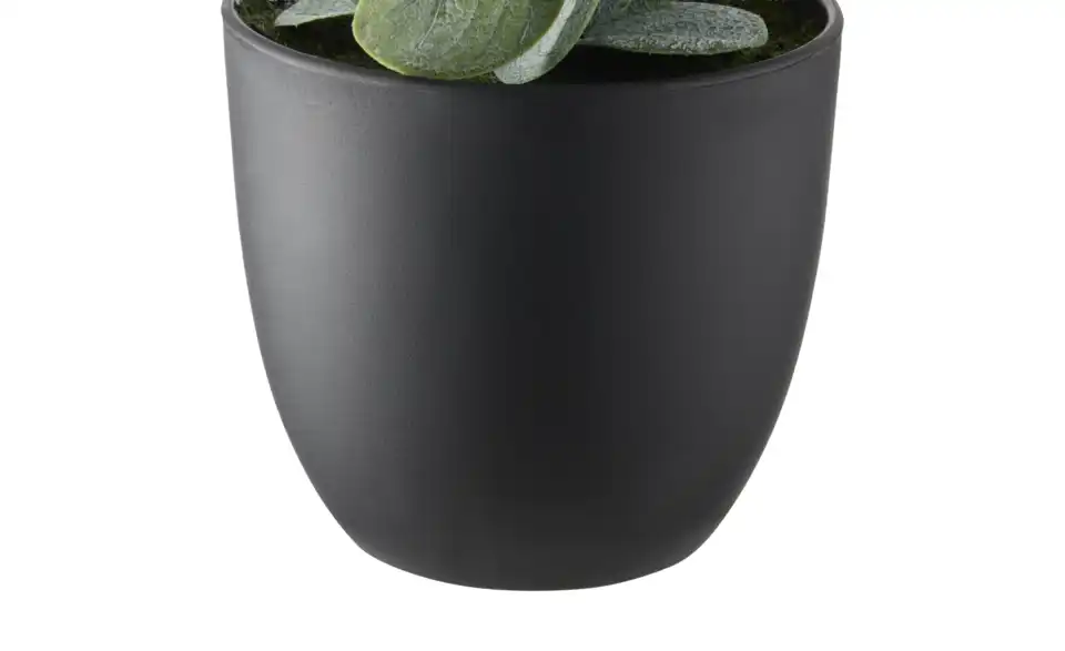 Eukalyptus getopft, Detailansicht