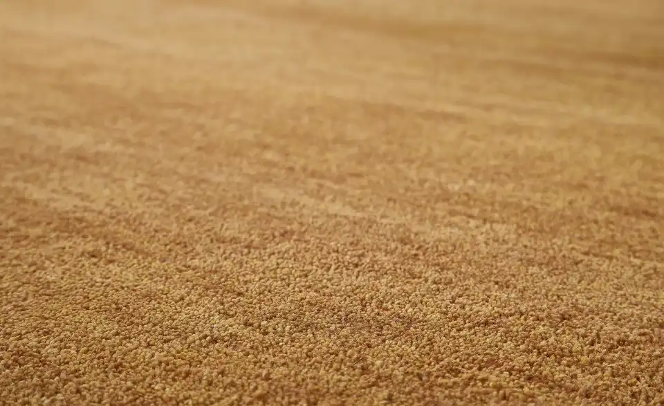 Handtuft-Teppich Royal Gabbeh, Detailansicht