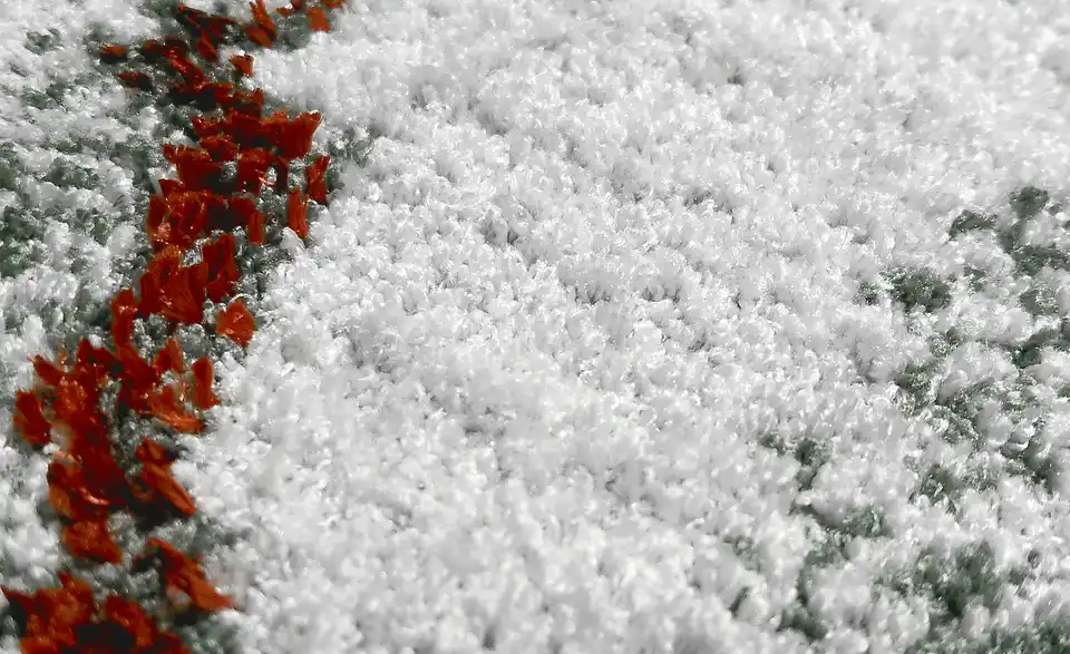 Webteppich Bailey, Detailansicht